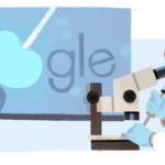 アン・マクラーレンにGoogleロゴが変更!!イギリス生まれ、発生生物学の第一人者の生誕94周年